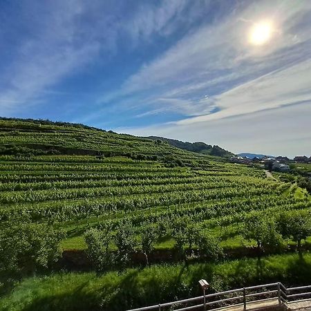 Wohnung In Der Wachau Weissenkirchen in der Wachau Exteriér fotografie