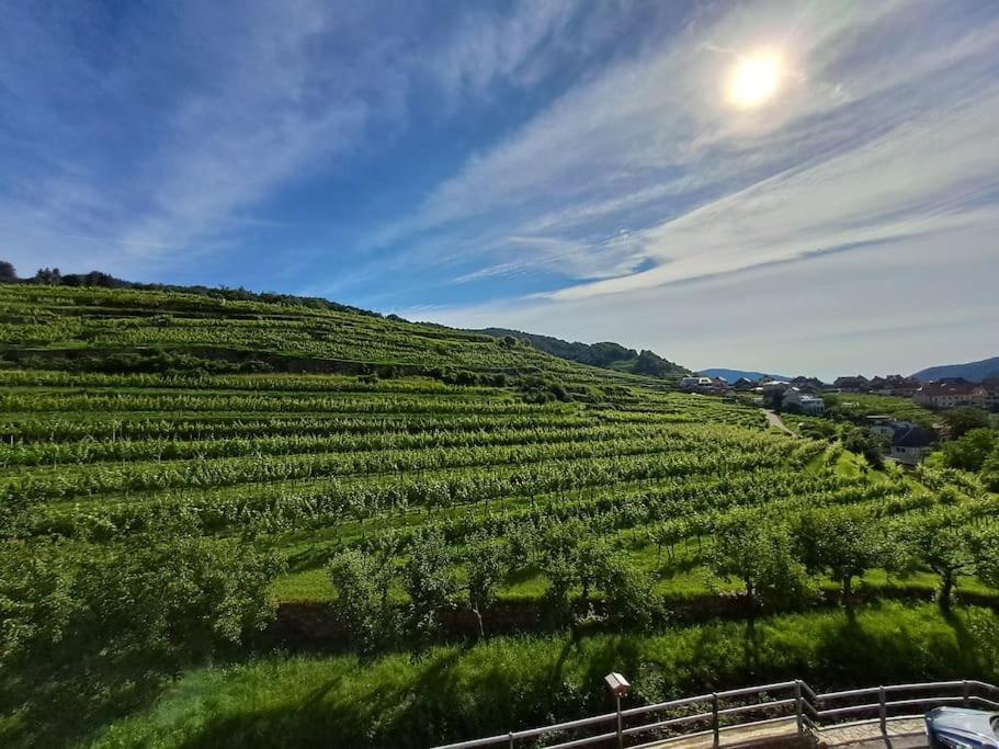 Wohnung In Der Wachau Weissenkirchen in der Wachau Exteriér fotografie